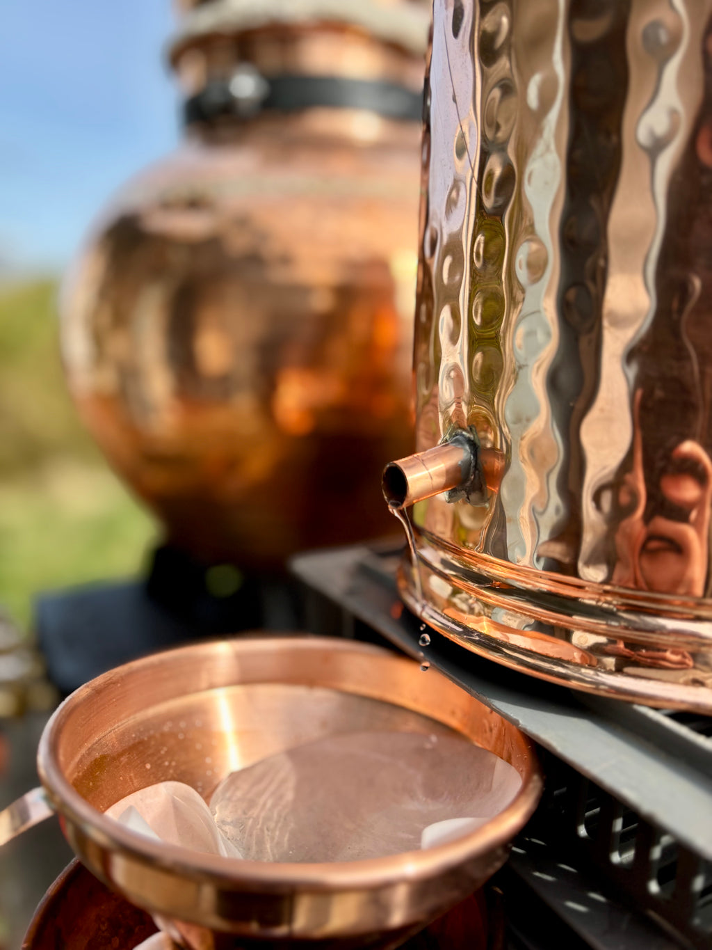 Botanical Distillation: Making Scots Patchouli with the Copper Still | Saturday 1st August