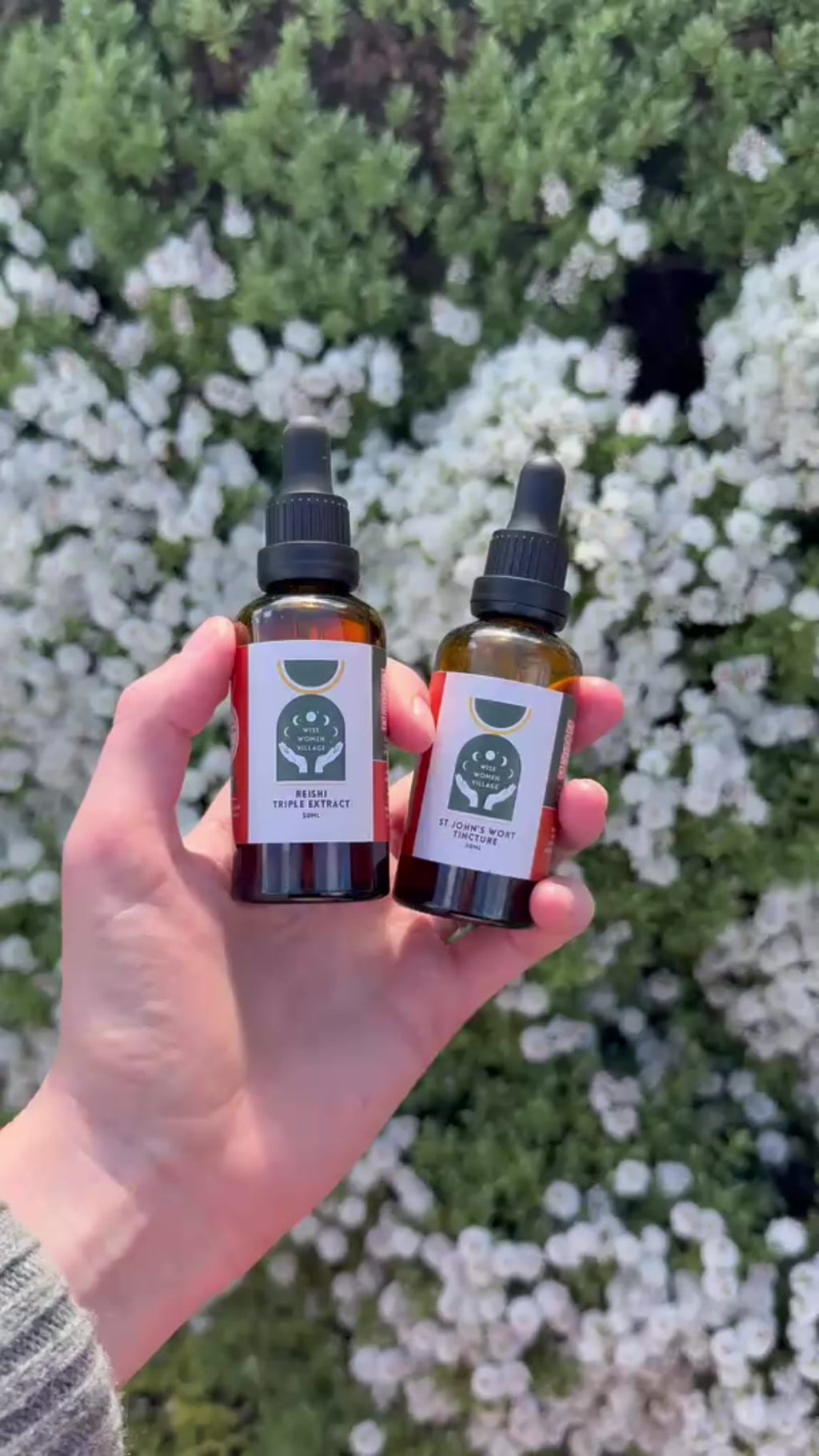Reishi Triple Extract