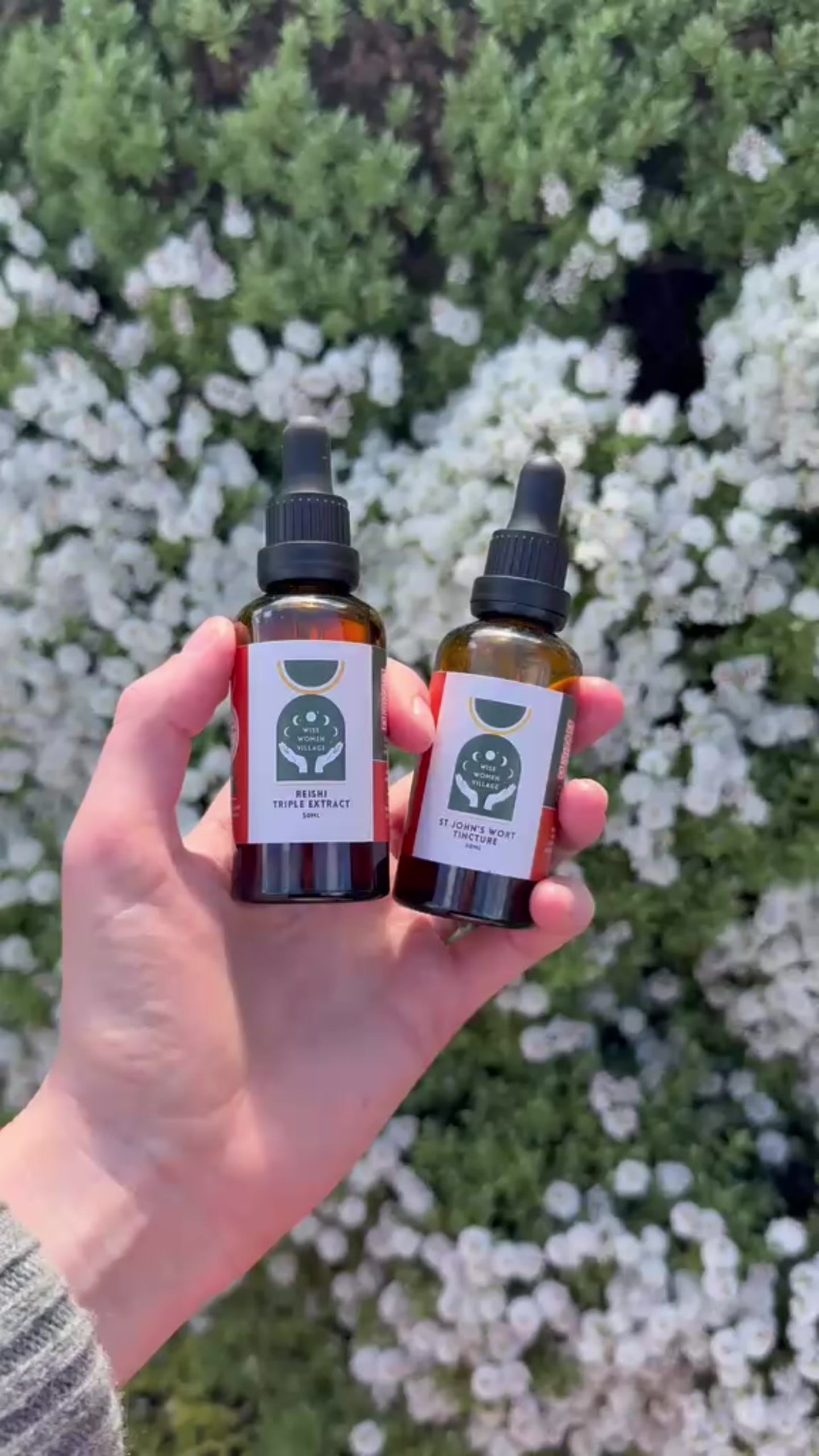 Reishi Triple Extract